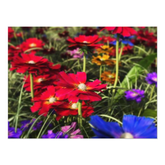 Iridescent Spring Photo Print Foto Afdruk (Voorkant)
