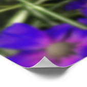 Iridescent Spring Print (Hoek)