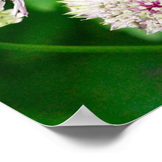 Iridescent Wasp op bloemen dicht Poster (Hoek)