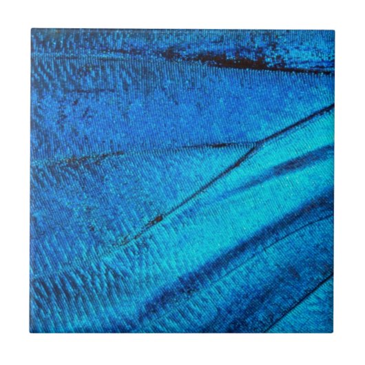 Iridescente Blauwe Vlinder Vleugel Tegeltje (Voorkant)