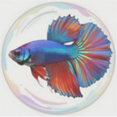 Iridescente Stroom – Betta Vis Kunst Vierkante Vin Sticker (Voorkant)