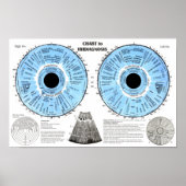 Iridiagnosis Iridology Eye Chart  Poster (Voorkant)