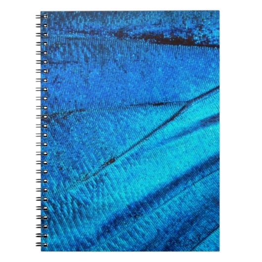 Iridiscerende Blauwe Vlinder Vleugel Notitieboek (Voorkant)