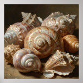 Iridiscerende schelp stilleven poster (Voorkant)
