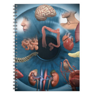 Iridologie Notitieboek