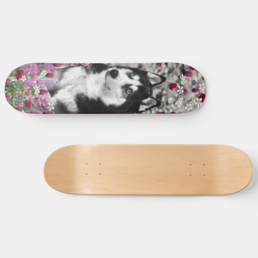 Irie the Siberian Husky in Flowers Skateboard (Horizontaal)