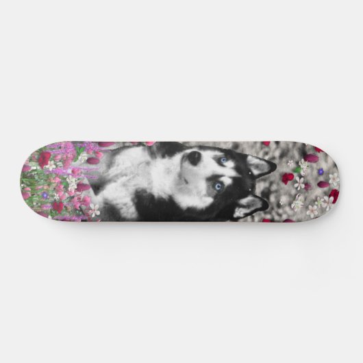 Irie the Siberian Husky in Flowers Skateboard (Horizontaal)