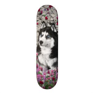 Irie the Siberian Husky in Flowers Skateboard