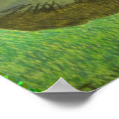 Irina de kat op de gras van Julia Hanna Poster (Hoek)