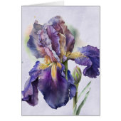 Iris (Voorkant)