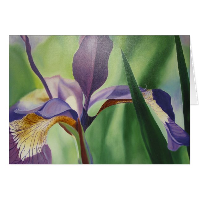 Iris (Voorkant Horizontaal)