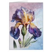 Iris (Voorkant)