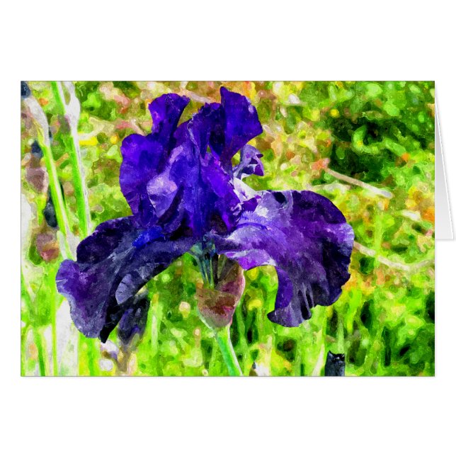 Iris (Voorkant Horizontaal)