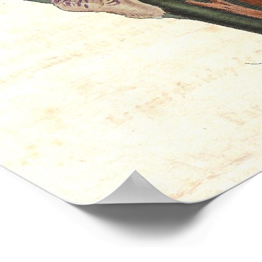 Iris 19th Century Curtis Botanical Illustration Poster (Hoek)