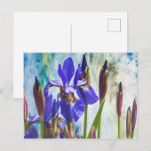 Iris abstracte foto briefkaart (Voorkant / Achterkant)
