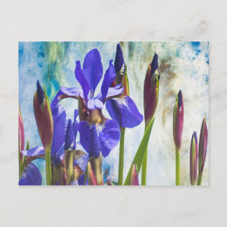 Iris abstracte foto briefkaart