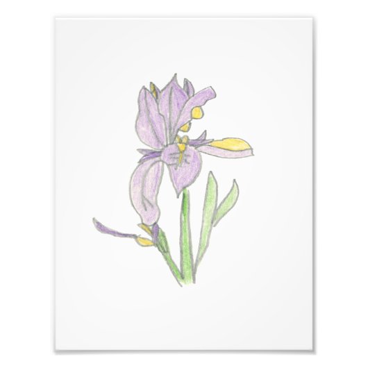 Iris-afdruk Foto Afdruk (Voorkant)