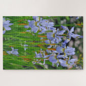 Iris beauties legpuzzel (Horizontaal)