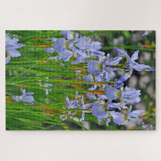 Iris beauties legpuzzel (Horizontaal)