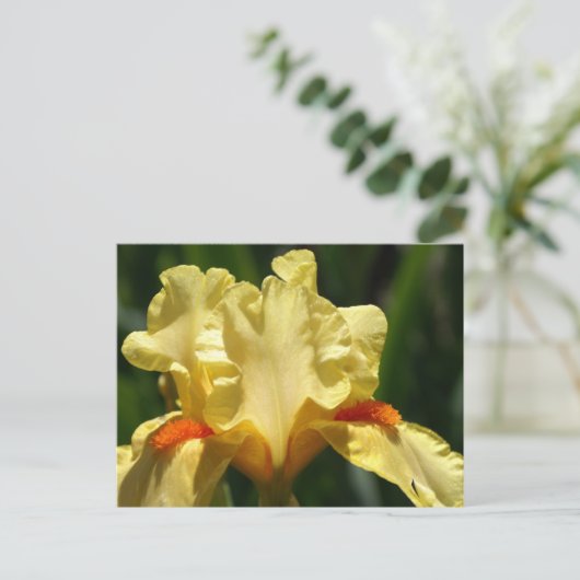 Iris Beauty Briefkaart (Staand voorkant)