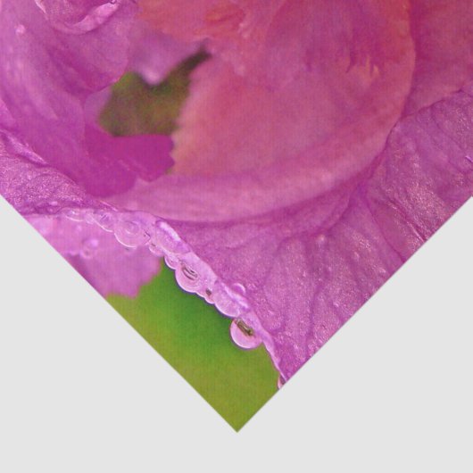 Iris Beauty-Tissue Wrapping Paper Tissuepapier (Detail)