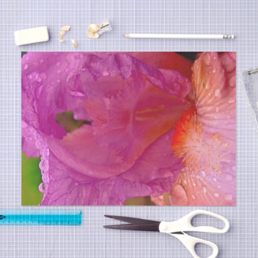 Iris Beauty-Tissue Wrapping Paper Tissuepapier (Craft)