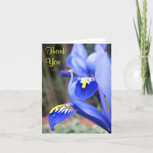 iris bedankkaart