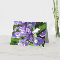 Iris Bedankt Notecard