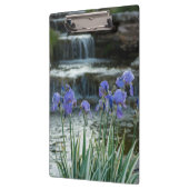 Iris bij Chateau Klembord (Links)