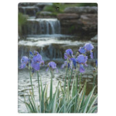Iris bij Chateau Klembord (Achterkant)