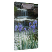 Iris bij Chateau Klembord (Rechts)