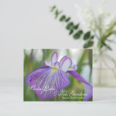 Iris bij het meer Swan, Sumter SC Briefkaart (Staand voorkant)