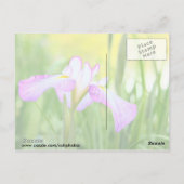Iris bij het meer Swan, Sumter SC Briefkaart (Achterkant)