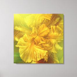 Iris binnenste schoonheid (warm geel) vierkant can canvas afdruk