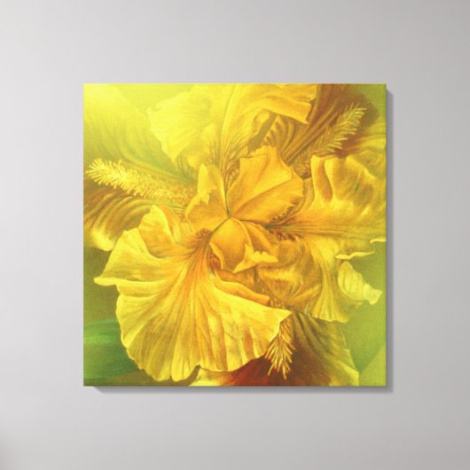 Iris binnenste schoonheid (warm geel) vierkant can canvas afdruk (Voorkant)