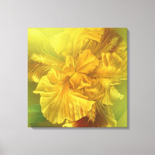 Iris binnenste schoonheid (warm geel) vierkant can canvas afdruk (Voorkant)