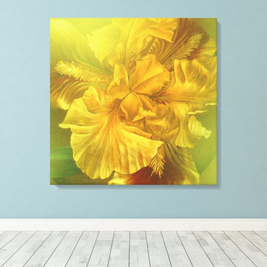 Iris binnenste schoonheid (warm geel) vierkant can canvas afdruk (Insitu (Houten vloer))