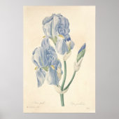Iris Bleek Poster (Voorkant)