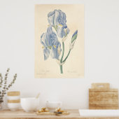 Iris Bleek Poster (Keuken)