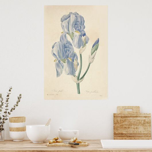 Iris Bleek Poster (Keuken)