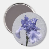 Iris Bloei Magneet (Voorkant / Achterkant)