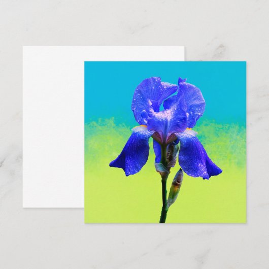 Iris bloem (Voorkant / Achterkant)