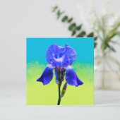 Iris bloem (Staand voorkant)