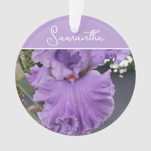 Iris Bloem Bloemen Paars Lavendel Sering Schort Ornament (voorkant)