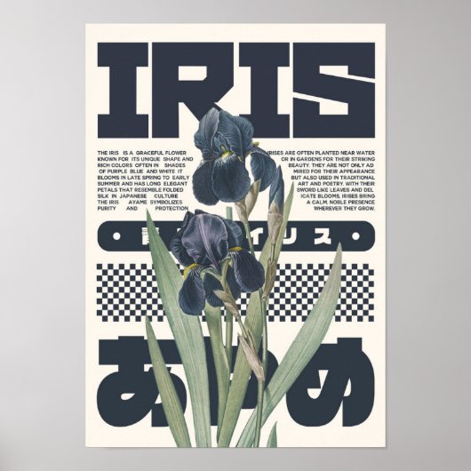 Iris Bloem Botanische Kunstprint – Japanse Estheti Poster (Voorkant)