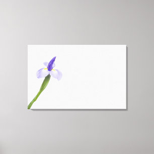 Iris bloem. canvas afdruk