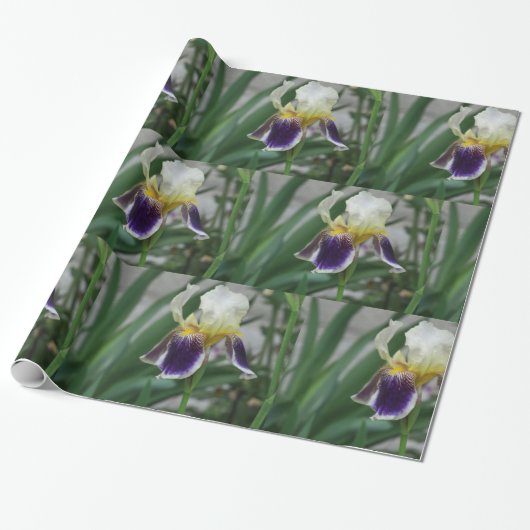 Iris Bloem Foto Inpakpapier (Uitgerold)
