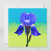 Iris bloem kaart (Voorkant)