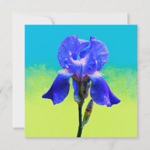 Iris bloem kaart