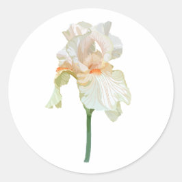 Iris bloem, levendige beige bloemblaadjes. ronde sticker